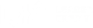 Leader Credit