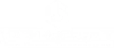 Techno Credit